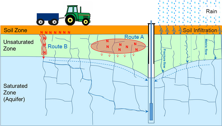 Diagram Showing The Process Of Nitrate Leaching Into Groundwater